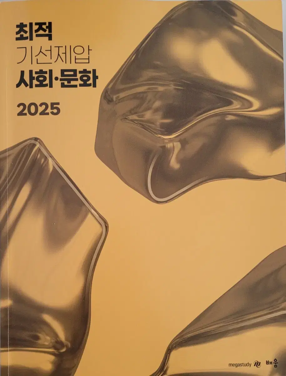 2025 최적 사회문화 기선제압